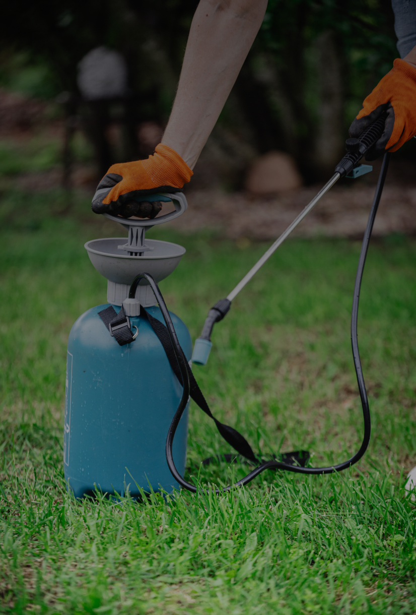 Lawn care with handheld spray bottle