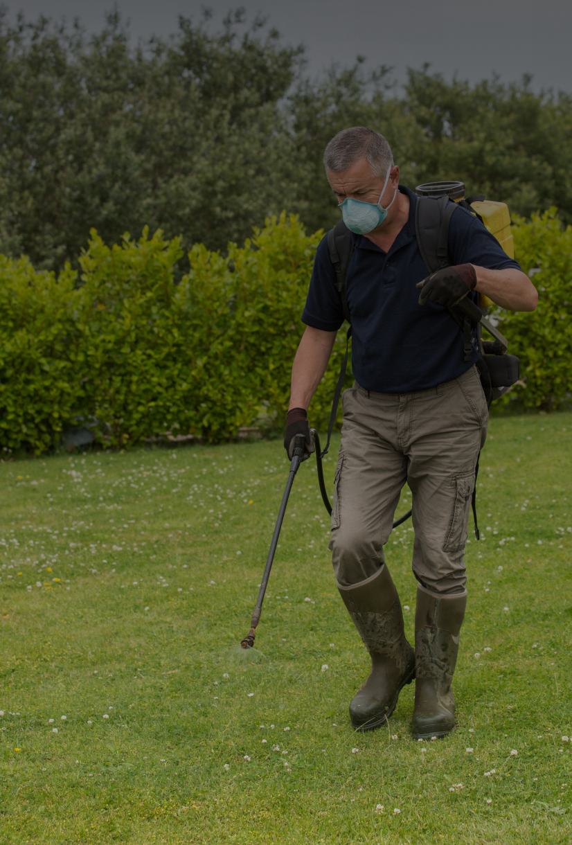 Person tending to garden with sprayer